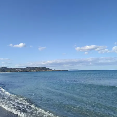 Sunflower House 公寓 *