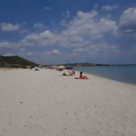 Sunflower House 公寓 西尼斯科拉