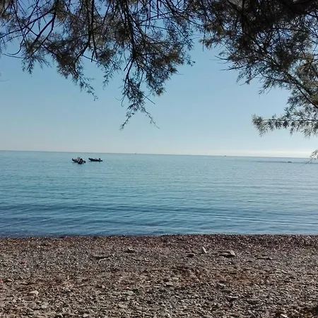 Sunflower House 公寓