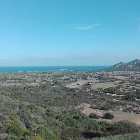 Sunflower House * 西尼斯科拉