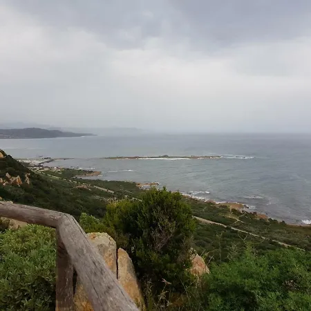 Sunflower House 西尼斯科拉