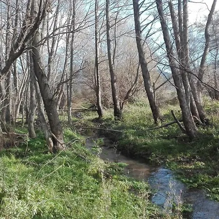 Sunflower House 公寓