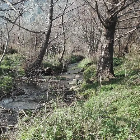 公寓 Sunflower House