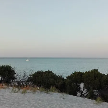 Sunflower House 公寓 *