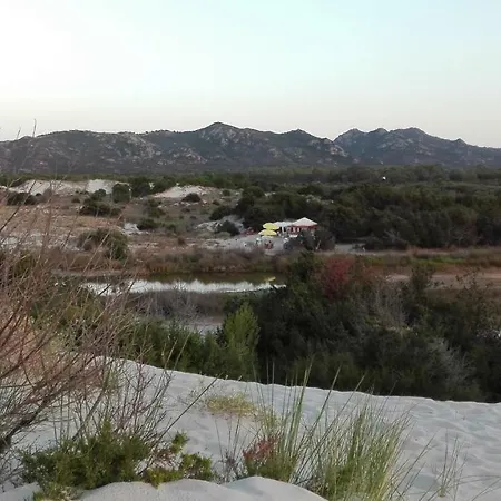 Sunflower House 公寓 西尼斯科拉