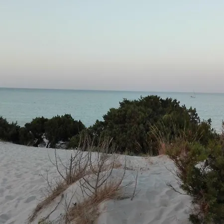 Sunflower House 公寓