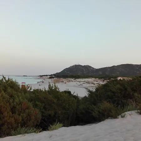 Sunflower House * 西尼斯科拉