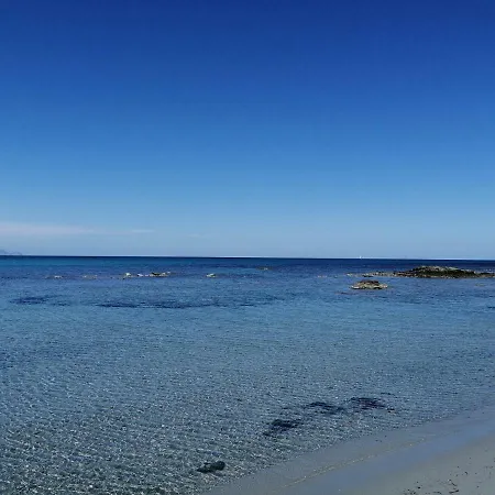 Sunflower House 西尼斯科拉