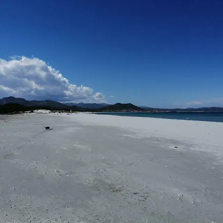 公寓 Sunflower House 西尼斯科拉