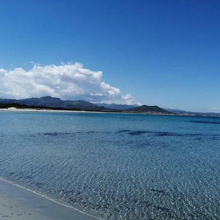 Sunflower House * 西尼斯科拉