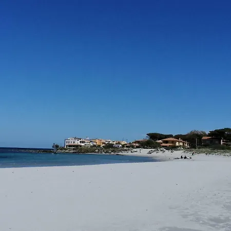 公寓 Sunflower House *