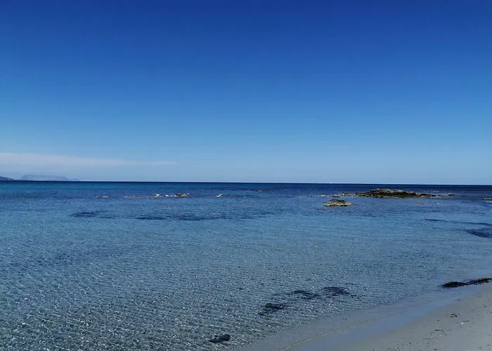 Sunflower House Siniscola