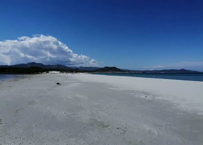 Apartamento Sunflower House Siniscola