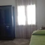 Sunflower House *
