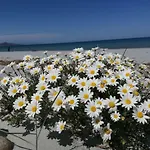 Apartman Sunflower House *
