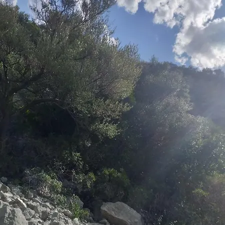 Sunflower House سينيسكولا